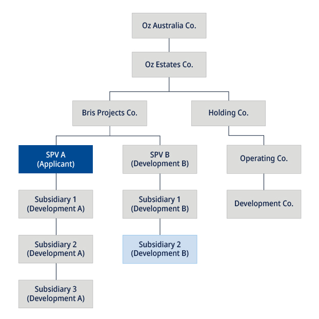 Diagram of corporate group structure and shareholding